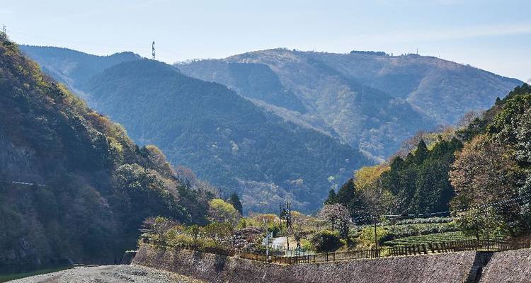 Bergachtig platteland met terrasvormige hellingen en vroege herfstkleuren.