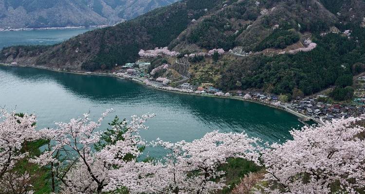 Kersenbloesems omlijsten een dorpje aan het meer en groene heuvels daarachter.