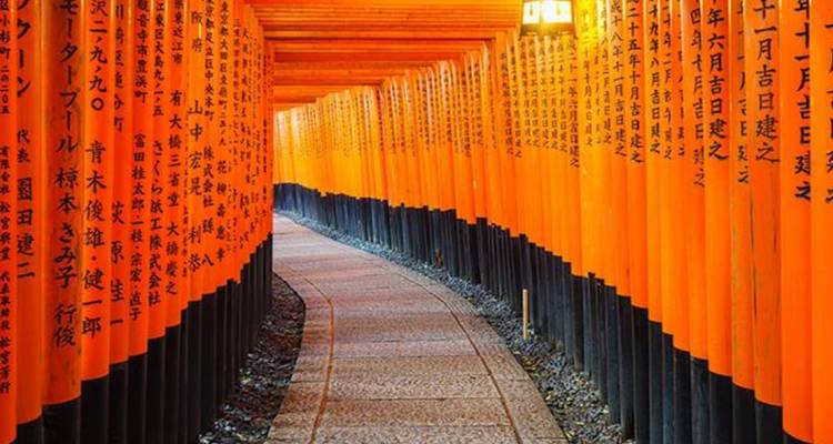 Tunnel infini de torii orange vif avec des inscriptions japonaises au sanctuaire Fushimi Inari.