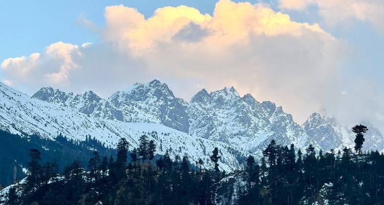Picos irregulares cubiertos de nieve se alzan sobre oscuros bosques de pinos con nubes brillantes resplandeciendo en la luz del atardecer