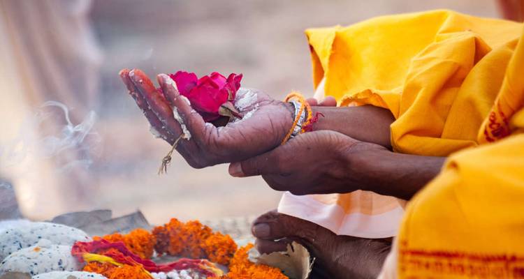 Close shot of hands holding rose petals during a Hindu ritual with marigold flowers and incense.