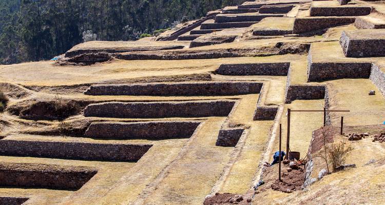 Pattern of restored Inca terraces hugging a dry hillside under bright sun.