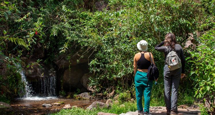 Two travelers observe a gentle woodland cascade in a lush green ravine.