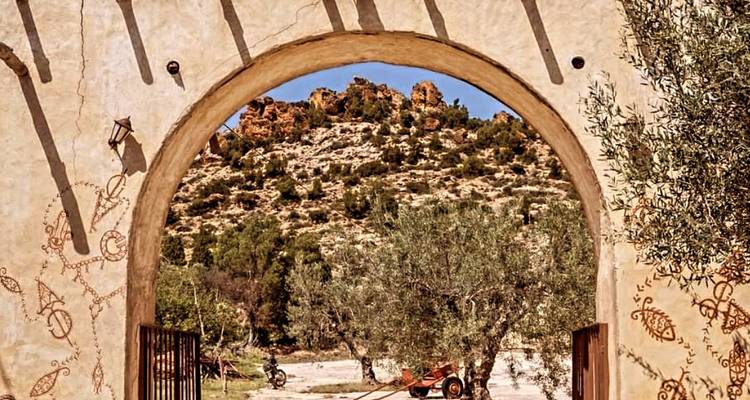 Steinbogen, der Olivenbäume und felsige Hügel unter hellem Himmel einrahmt und an das ländliche Tunesien erinnert.
