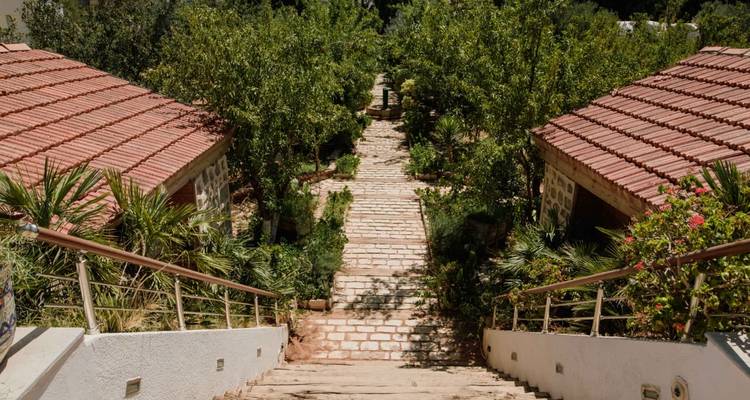 Escalier en pierre bordé de jardins luxuriants menant à des cottages aux toits de terre cuite sous un soleil éclatant.