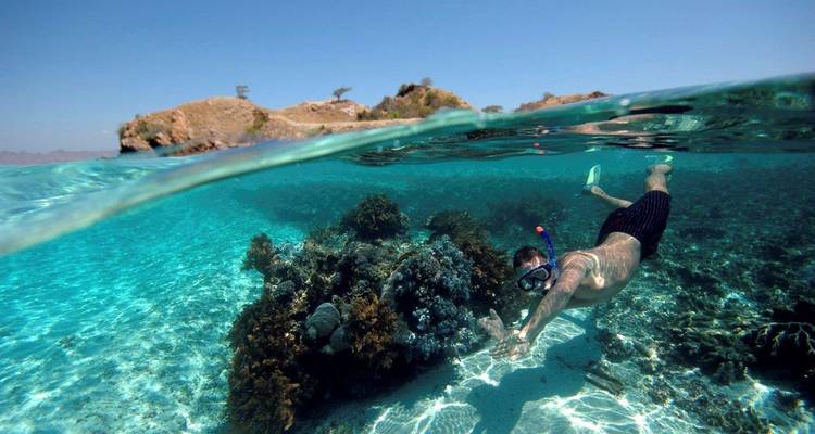 Gesplitst beeld van een snorkelaar die glijdt over een levendig rif in ondiep turkoois water nabij een klein eiland.