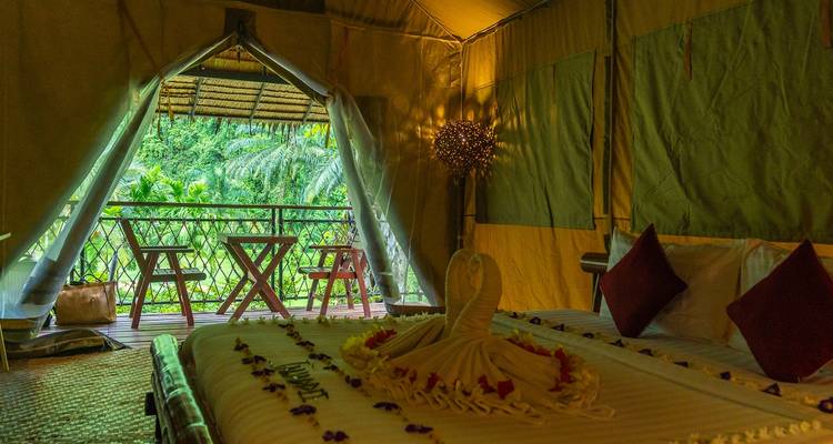 A cosy safari-style tent with a towel swan and jungle views opens onto a balcony with small tables.