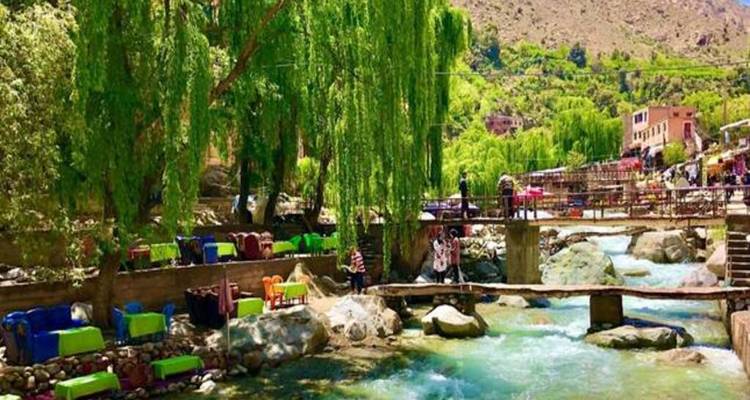 Wooden footbridge crosses turquoise stream beneath hanging willow trees.