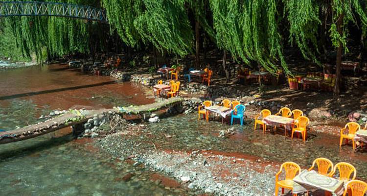 Plastic chairs and tables stand in shallow river beneath drooping greenery.