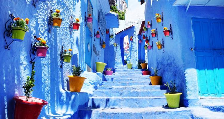 Ruelle bleu vif à Chefchaouen bordée de pots de fleurs colorés sur les murs et les marches.