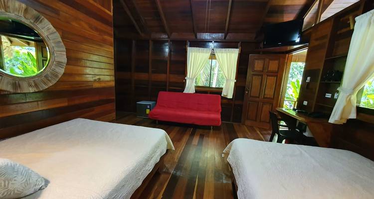 Chambre double rustique avec murs en bois dur, futon rouge et vue sur la forêt à travers des fenêtres à rideaux.