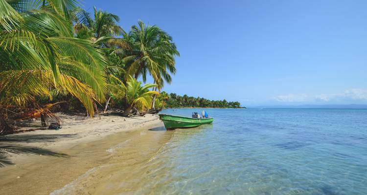 Plage caribéenne immaculée avec des palmiers et un petit bateau vert flottant sur une eau turquoise cristalline.