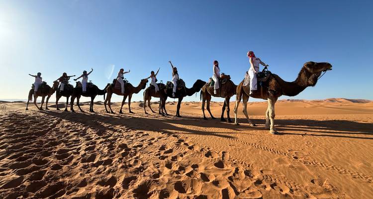 Une longue caravane de cavaliers sur des chameaux lève les bras en triomphe à travers les vastes dunes orangées sous un ciel bleu dégagé.
