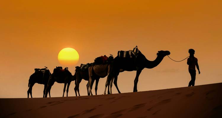 Silhouetted camel caravan led by a guide across a sand dune at fiery sunset.