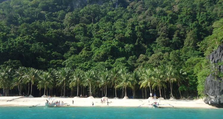 Plage tropicale isolée avec palmiers adossée à une jungle dense et une mer turquoise