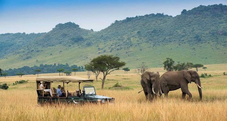 Véhicule de safari ouvert avec des voyageurs observant deux grands éléphants traversant des prairies dorées avec des collines vertes en arrière-plan.