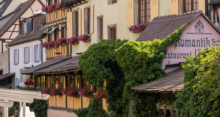Charming Alsatian façade draped in ivy and geraniums on a sunny afternoon.