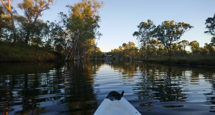 Kayak bow glides along a calm tree-lined river at dawn with reflections on the water.