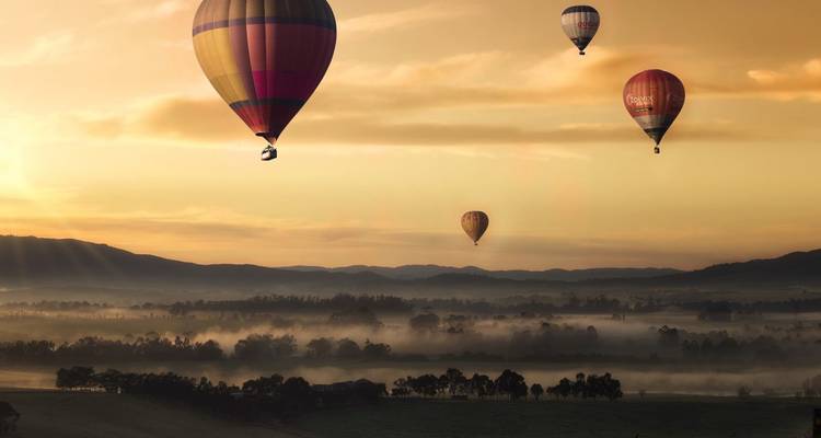 Multiple colourful hot-air balloons float above a misty savanna landscape at dawn.