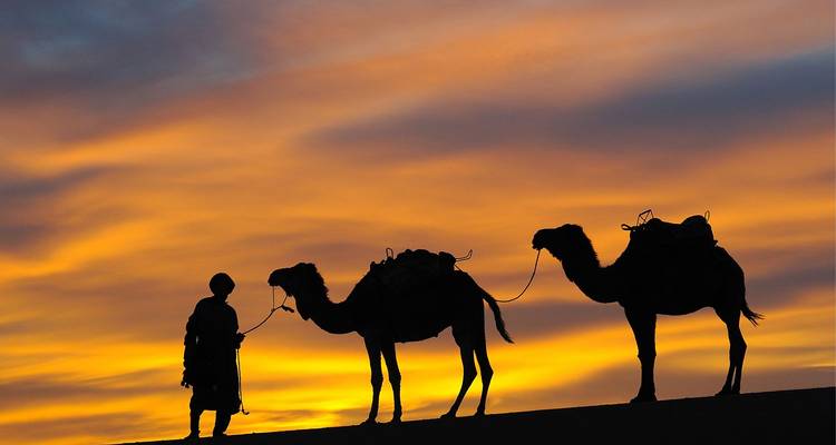 Silhouette of a guide leading two camels across desert dunes at sunset