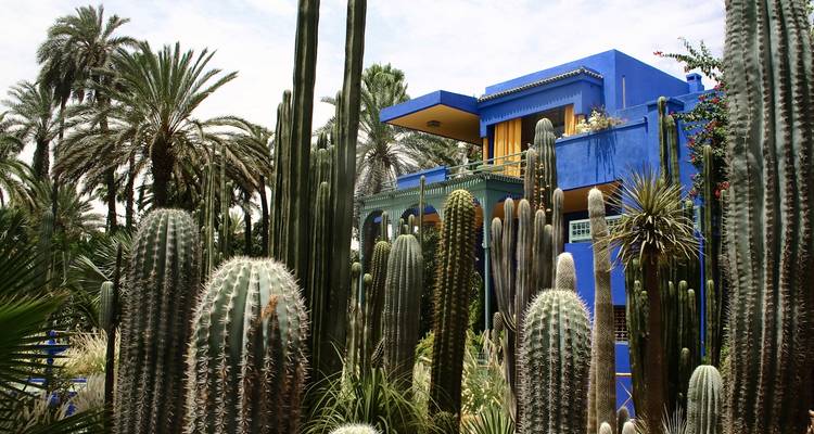 The vivid blue Villa in Jardin Majorelle rises behind tall cacti and palm trees in Marrakech.