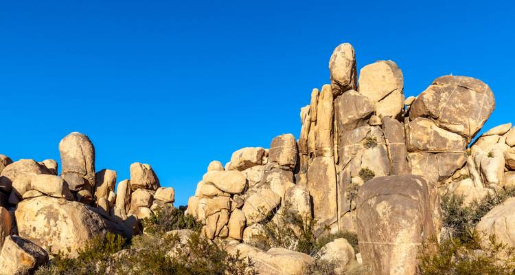 Rounded granite boulders and desert shrubs set against a clear deep blue sky in Joshua Tree National Park.