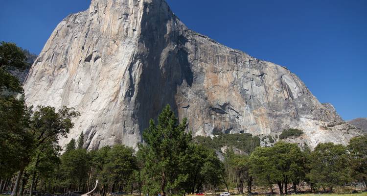 Sheer granite face of El Capitan rising above pine trees under a clear blue Yosemite sky.