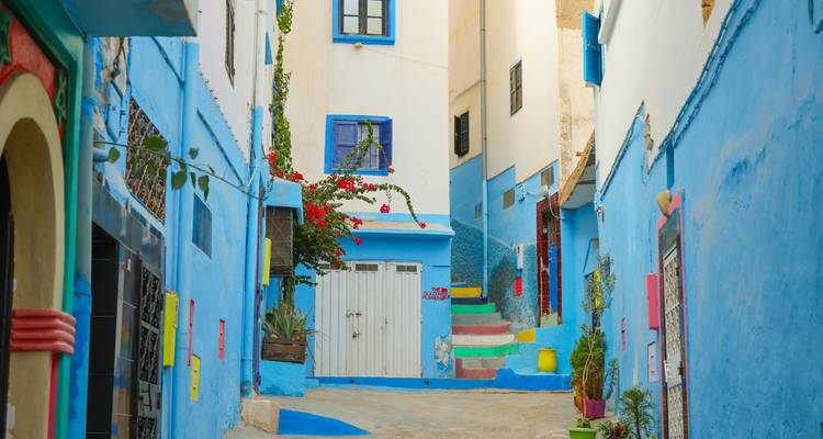 A vividly blue-painted alley with colourful plant pots and a multicoloured staircase brightening the scene.