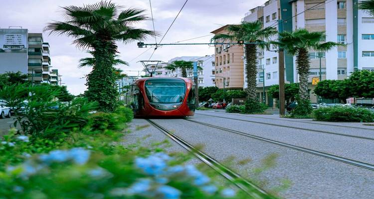 Un tramway moderne rouge s'approchant le long de rails bordés de palmiers dans une rue urbaine contemporaine marocaine