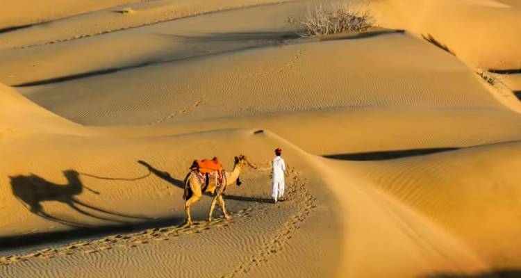 Kameel en begeleider lopen over gouden zandduinen van de Thar-woestijn en werpen lange schaduwen.