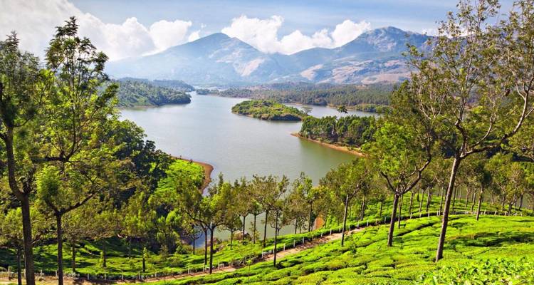 Schilderachtig bergmeer omgeven door weelderige theeplantages met nevelige bergen op de achtergrond in Munnar.