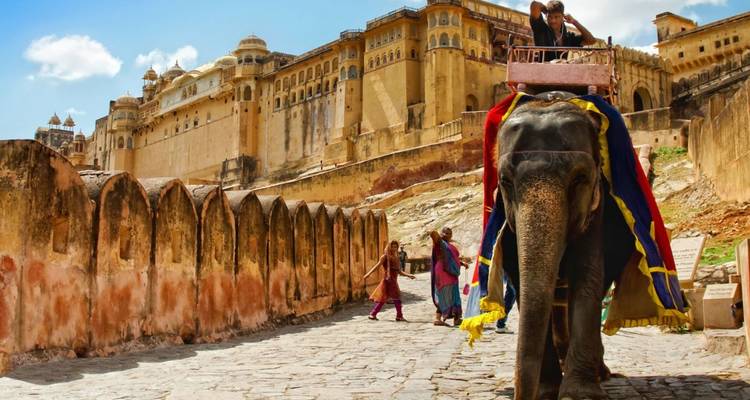 Touristen auf einem geschmückten Elefanten nähern sich den Befestigungsanlagen des Amber Fort entlang eines gepflasterten Weges.