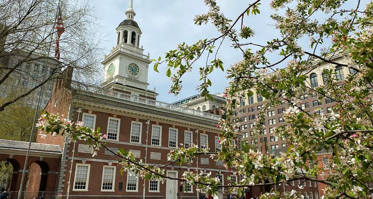 Independence Hall framed by blooming spring branches and surrounding city buildings.