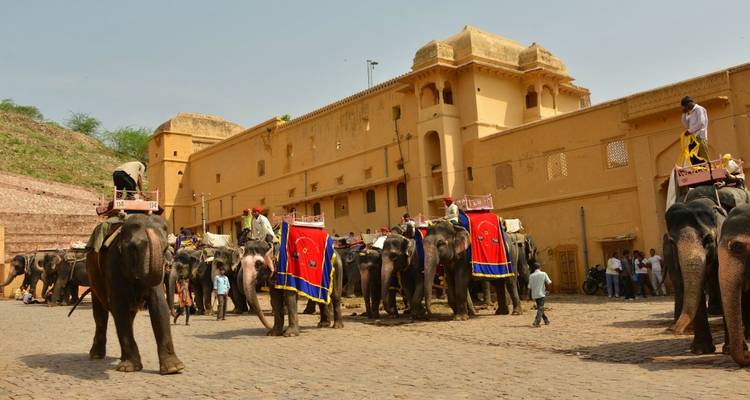 Line of decorated elephants with tourists riding toward a yellow-ochre fort wall under clear skies.