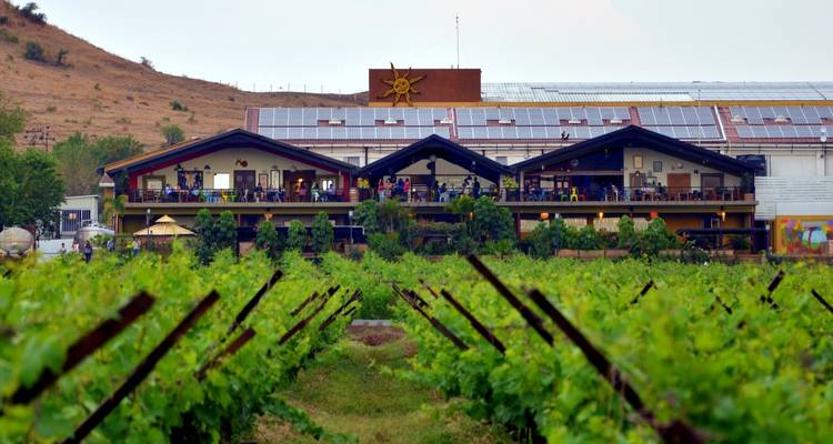 Rows of green grapevines lead toward a modern winery building with solar panels nestled among dry hills.