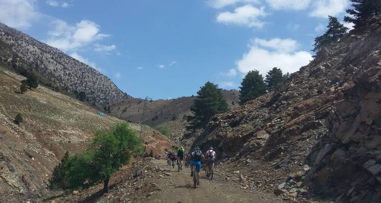 File de vététistes remontant une route de terre rocailleuse entre des pentes arides et des pins.