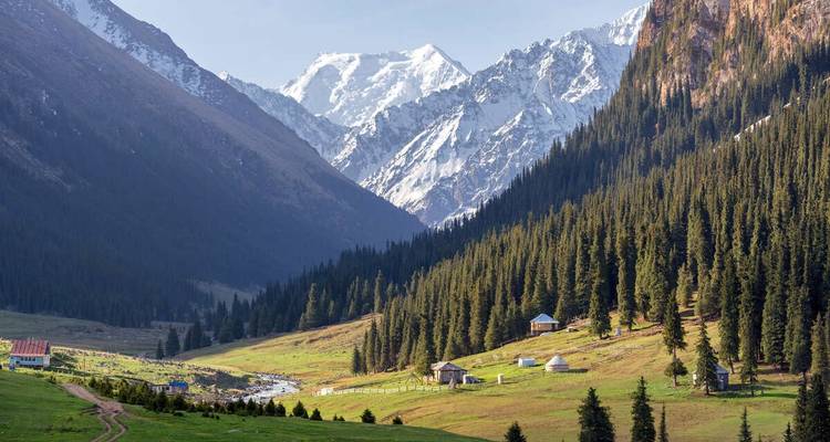 Picturesque alpine valley with spruce forests, scattered yurts and towering snow-covered peaks at the head of the valley.