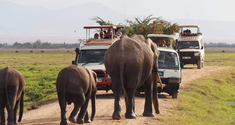 A family of elephants walks ahead of several safari vans filled with tourists across a grassy plain with hazy mountains in the background.