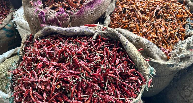 Burlap sacks overflowing with dried red chilies and spices in an Indian market.