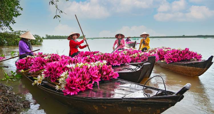 Local women in conical hats harvest vivid pink water lilies while standing in wooden boats on a river.