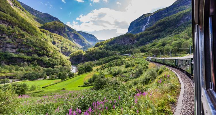 Scenic train curving through lush green valley with waterfalls and wildflowers under sunny skies
