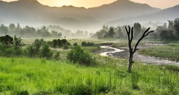 Misty sunrise illuminates a green valley of grasslands, trees, and distant hills.