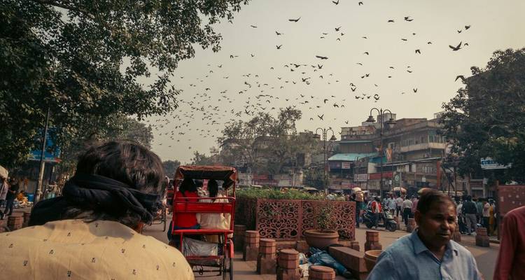Une scène de rue indienne animée avec un pousse-pousse à vélo, des oiseaux qui volent, et des devantures de magasins bondées.