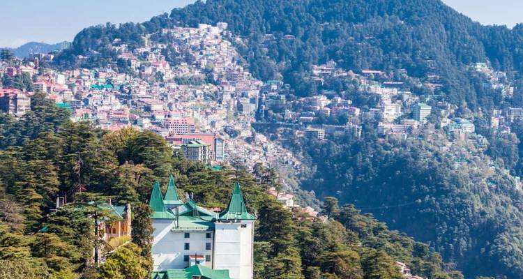Panoramic hillside view of densely built colourful town nestled among cedar forests.