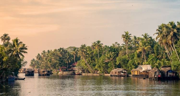 Un coucher de soleil doré projette une lumière chaude sur les canaux bordés de palmiers et les nombreuses péniches des backwaters du Kerala.