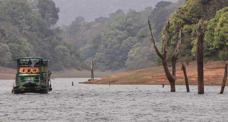 Scène de lac forestier avec bateau touristique vert et troncs d'arbres partiellement submergés.
