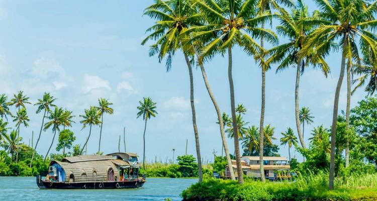 Deux péniches du Kerala glissent le long d'un chenal turquoise bordé de grands cocotiers sous un ciel bleu.