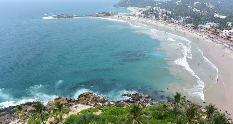 Sweeping coastal panorama of a long sandy beach, crashing blue waves and palm trees seen from above.
