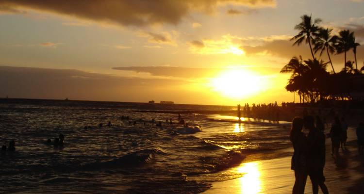 Golden sunset over an ocean shoreline with silhouettes of swimmers, palm trees and strolling couples.