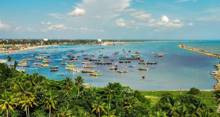 Harbor filled with dozens of colorful fishing boats on a bright turquoise bay framed by palm trees and greenery.